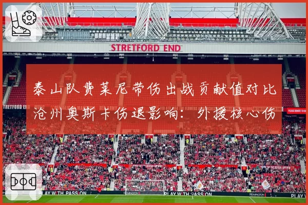 泰山队费莱尼带伤出战贡献值对比沧州奥斯卡伤退影响:外援核心伤病风险决策差异
