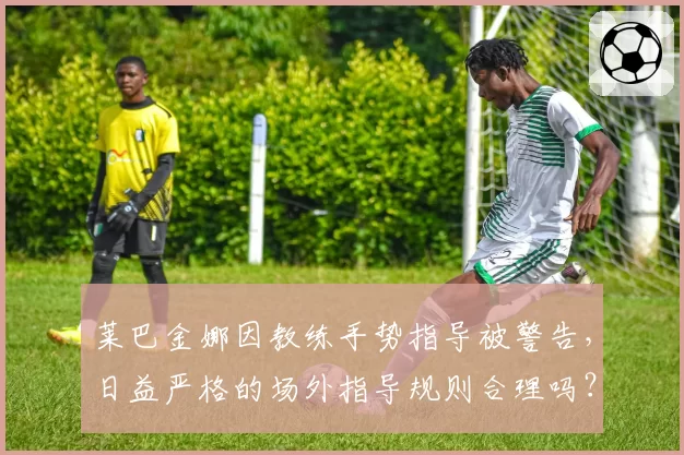 莱巴金娜因教练手势指导被警告,日益严格的场外指导规则合理吗?